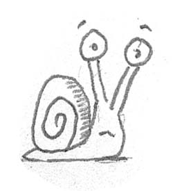 How to draw a snail cartoon