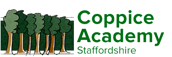 SEN / SEND School Art Workshops